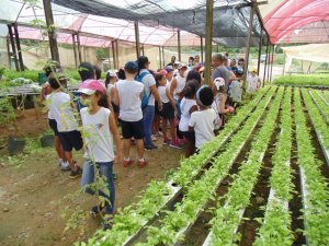 Escola Arco Iris Visita ao Horto Hidroponico  Camaçari-Ba