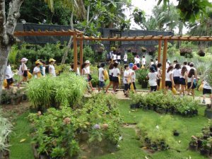 Escola Arco Iris Visita ao Horto Hidroponico  Camaçari-Ba