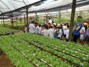 Escola Arco Iris Visita ao Horto Hidroponico  Camaçari-Ba