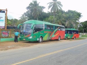 Escola Arco Iris Visita ao Horto Hidroponico  Camaçari-Ba