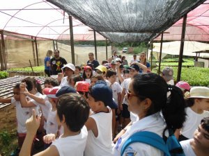 Escola Arco Iris Visita ao Horto Hidroponico  Camaçari-Ba