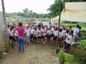 Escola Arco Iris Visita ao Horto Hidroponico  Camaçari-Ba