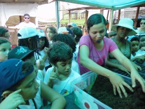 Escola Arco Iris Visita ao Horto Hidroponico  Camaçari-Ba