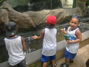 Escola Padre Braulinho - Zoo e Parque