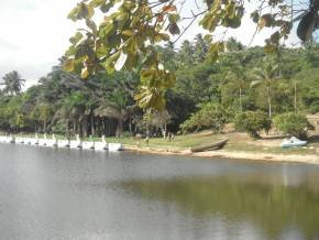 Escola Padre Braulinho - Zoo e Parque