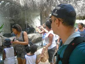 Escola Padre Braulinho - Zoo e Parque