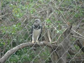 Escola Padre Braulinho - Zoo e Parque