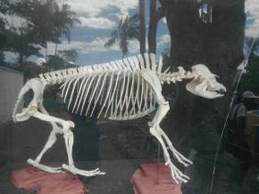 Escola Padre Braulinho - Zoo e Parque