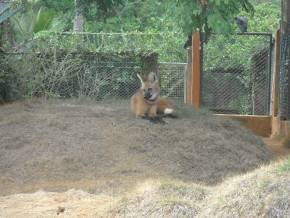 Escola Padre Braulinho - Zoo e Parque