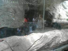 Escola Padre Braulinho - Zoo e Parque
