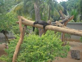 Escola Padre Braulinho - Zoo e Parque