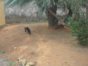 Escola Padre Braulinho - Zoo e Parque
