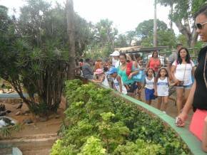 Escola Padre Braulinho - Zoo e Parque