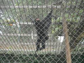 Escola Padre Braulinho - Zoo e Parque