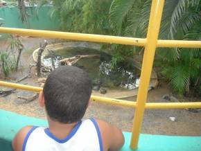Escola Padre Braulinho - Zoo e Parque