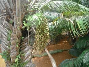 Escola Padre Braulinho - Zoo e Parque