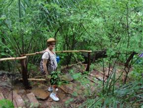 Feriado 08 de dezembro de 2014 na Chapada Diamantina