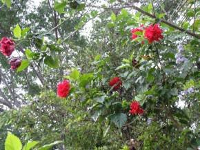 Feriado 08 de dezembro de 2014 na Chapada Diamantina