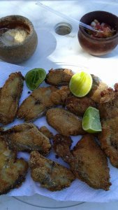 Grupo de Maragogi-AL em visita a Salvador