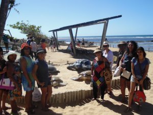 Grupo do Maranhão - Passeios em Salvador e região.