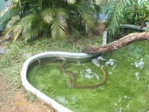 Grupo Maranhão