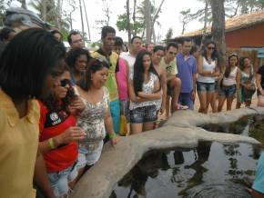 Instituto Federal de Sergipe - (Aracajú) Passeio em Praia do Forte