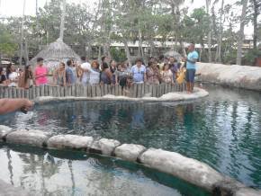 Instituto Federal de Sergipe - (Aracajú) Passeio em Praia do Forte