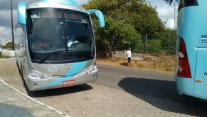 Passeio ao Zoologico com Escola Girassol 120 alunos.