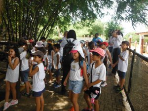 Passeio ao Zoologico com Escola Girassol 120 alunos.