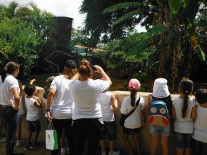 Passeio ao Zoologico com Escola Girassol 120 alunos.