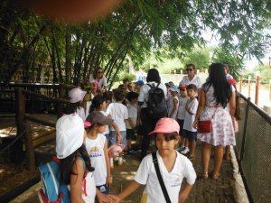 Passeio ao Zoologico com Escola Girassol 120 alunos.