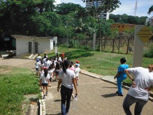 Passeio ao Zoologico com Escola Girassol 120 alunos.