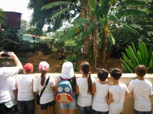Passeio ao Zoologico com Escola Girassol 120 alunos.