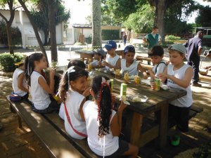 Passeio ao Zoologico com Escola Girassol 120 alunos.