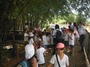 Passeio ao Zoologico com Escola Girassol 120 alunos.