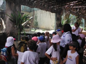 Passeio ao Zoologico com Escola Girassol 120 alunos.