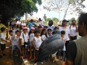 Passeio ao Zoologico com Escola Girassol 120 alunos.