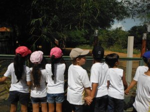 Passeio ao Zoologico com Escola Girassol 120 alunos.