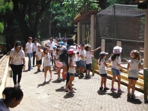 Passeio ao Zoologico com Escola Girassol 120 alunos.