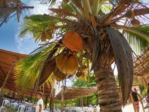 Passeio as Ilhas com Grupo Aracajú Turismo