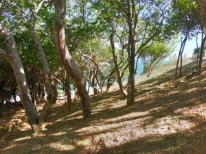 Passeio as Ilhas com Grupo Aracajú Turismo