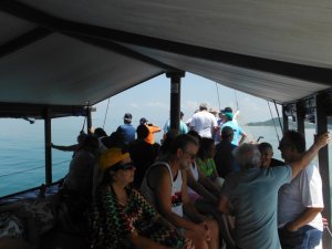 Passeio as Ilhas  - SEMCOHA
