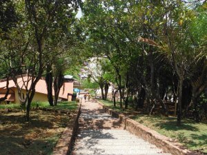 Passeio as Ilhas  - SEMCOHA