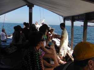 Passeio as Ilhas  - SEMCOHA
