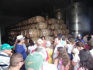 Semana Santa 2017 na Rota do Vinho