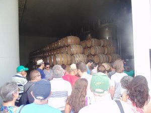 Semana Santa 2017 na Rota do Vinho