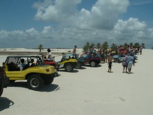 Mangue Seco